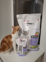 Пользовательская фотография №1 к отзыву на 1st Choice Healthy Start Сухой корм для котят (с курицей)
